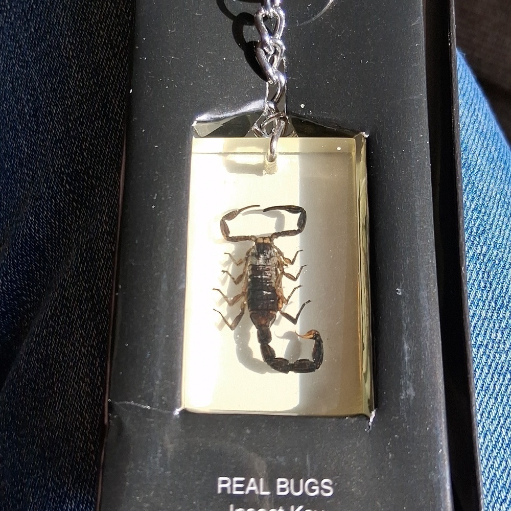 Scorpion Key Ring